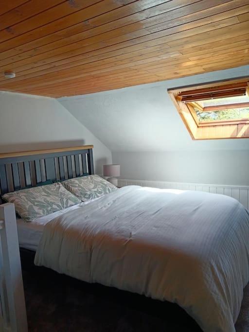 Dingle Escape -2 Bed -Sleeps 4 아파트 외부 사진