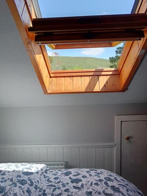 Dingle Escape -2 Bed -Sleeps 4 아파트 외부 사진