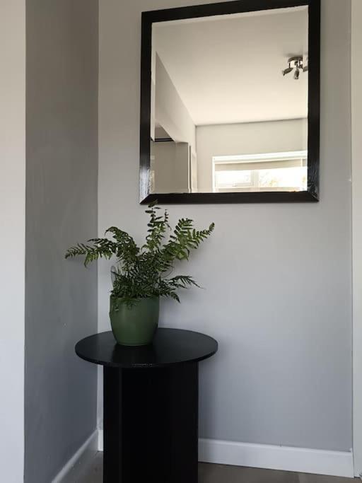 Dingle Escape -2 Bed -Sleeps 4 아파트 외부 사진