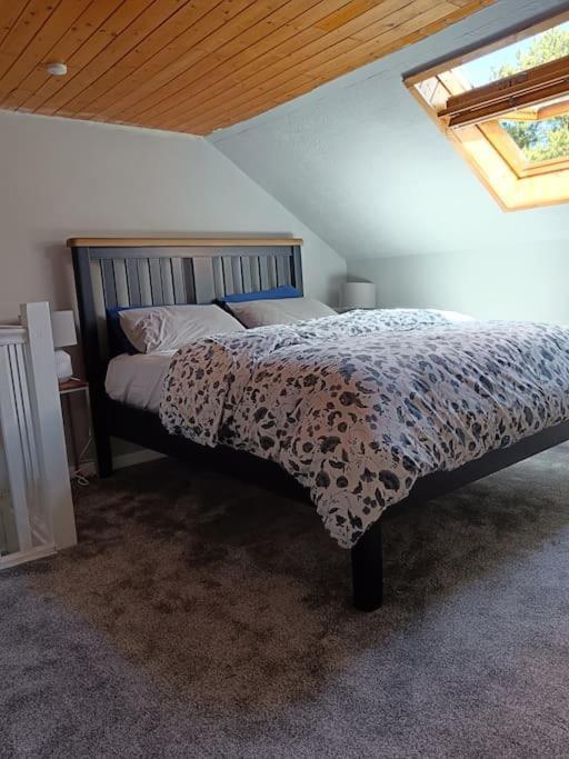 Dingle Escape -2 Bed -Sleeps 4 아파트 외부 사진